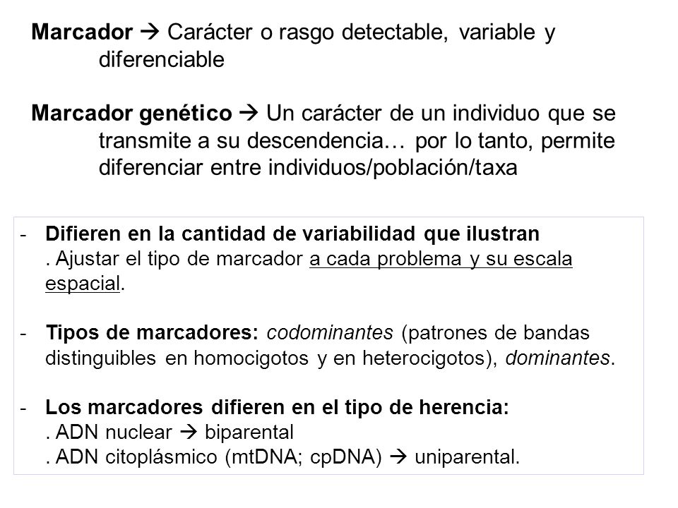 marcadores geneticos de adn
